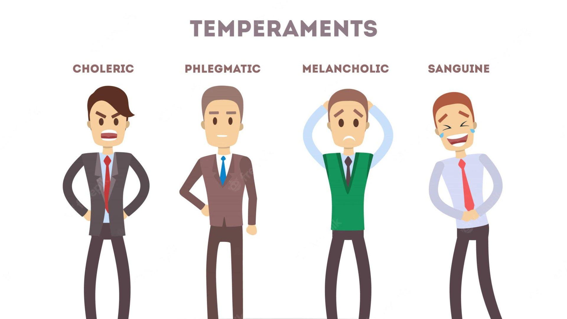 4 categories of temperament new york longitudinal study