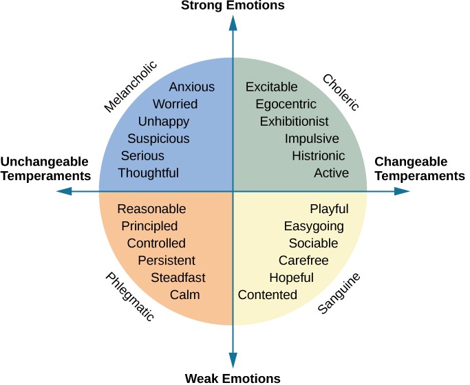 Why It's Important To Know The Different Temperaments of Employees